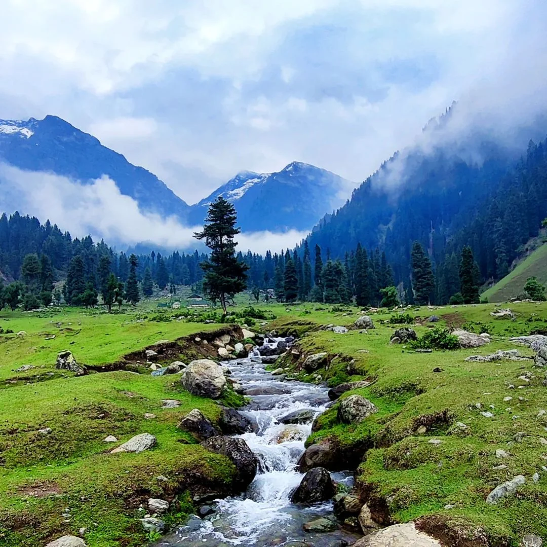 Aru Valley