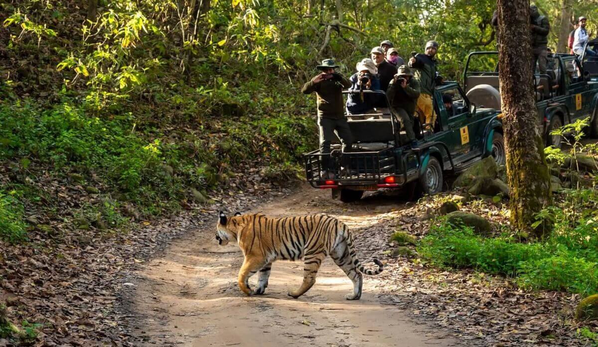 LANSDOWNE & JIM CORBETT WILDLIFE TOUR