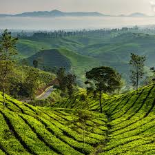 OOTY TOUR PACKAGE